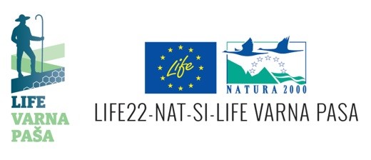 Life varna paša marec 26